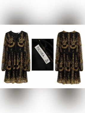 Ticosa Black Long-Sleeve Mesh Dress with Gold Embroidery